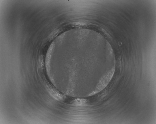 X0000080740328200701021153