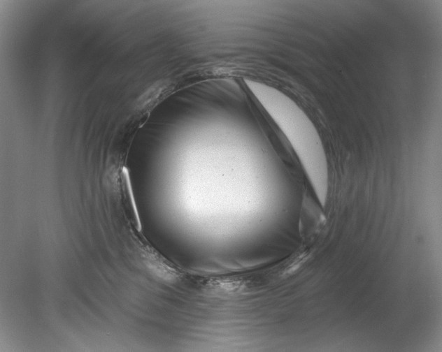 X0000080740329200701021153