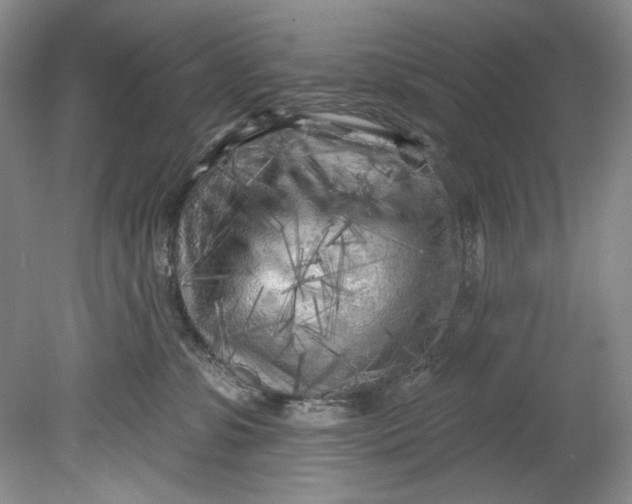 X0000080740331200701021153