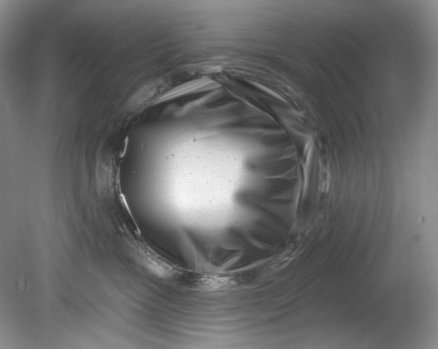 X0000080740333200701021153