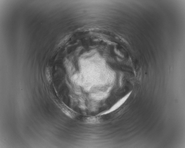 X0000080740335200701021153