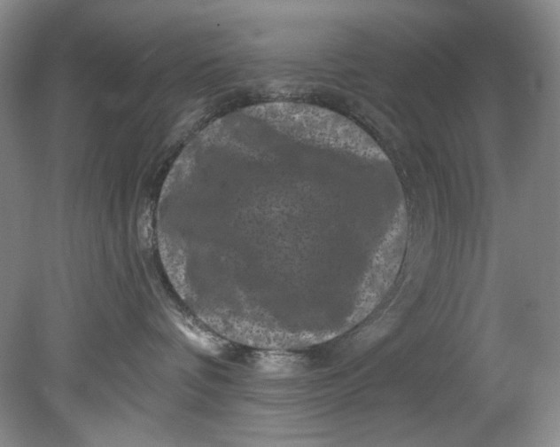 X0000080740336200701021153