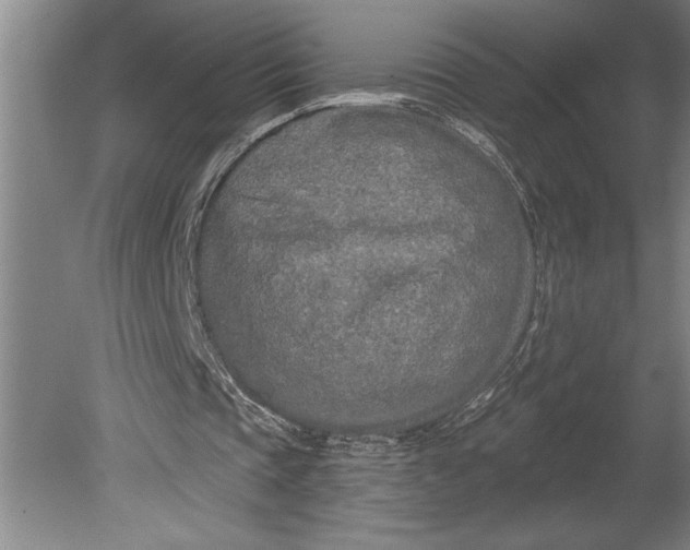 X0000080740337200701021152