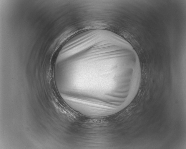 X0000080740338200701021152