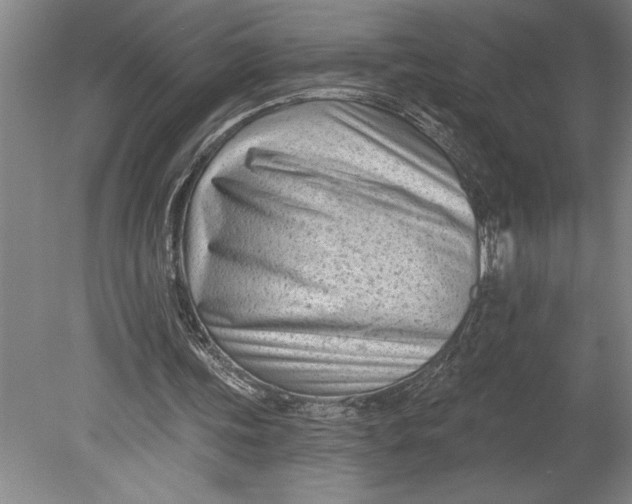 X0000080740339200701021152