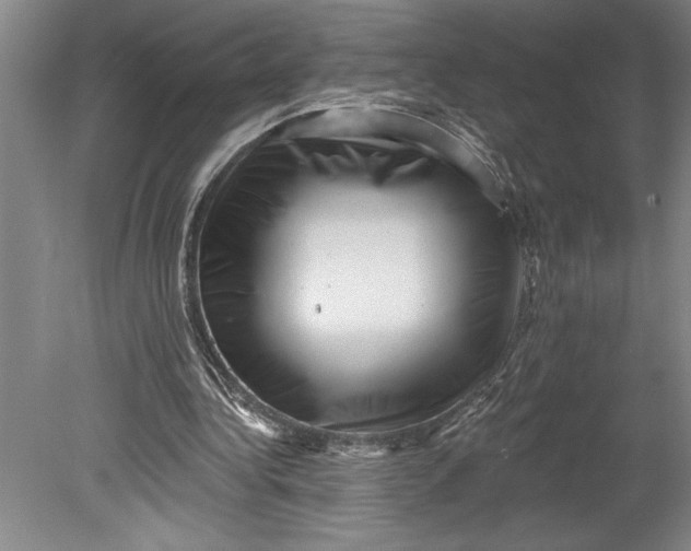 X0000080740340200701021152