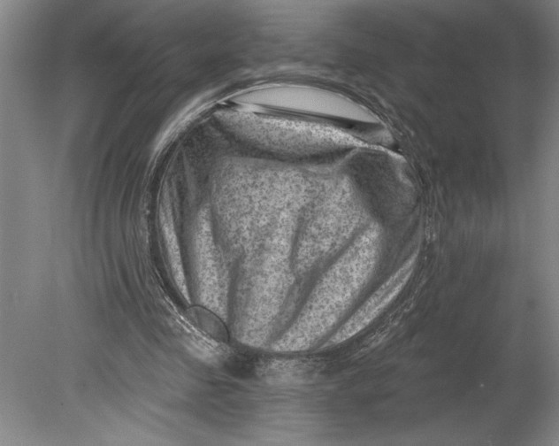 X0000080740341200701021152