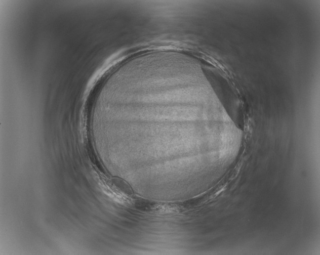 X0000080740343200701021152