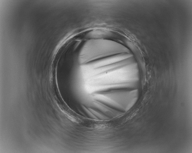 X0000080740344200701021152