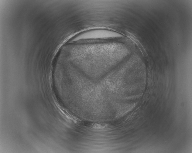 X0000080740346200701021152