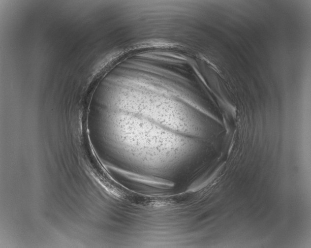 X0000080740350200701021152