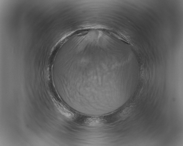 X0000080740351200701021152