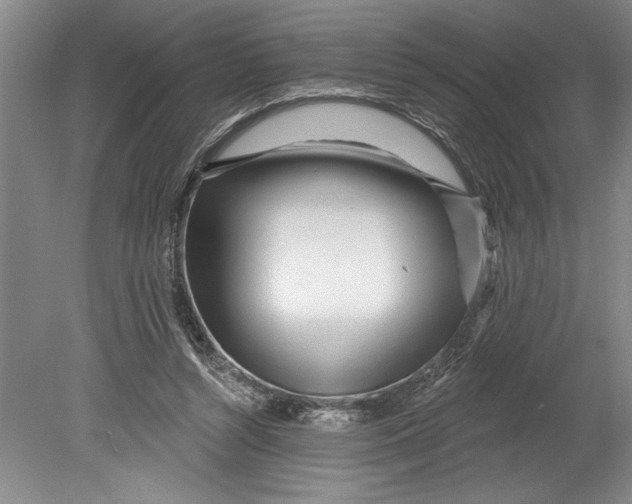 X0000080740352200701021152