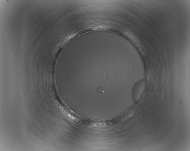 X0000080740353200701021152