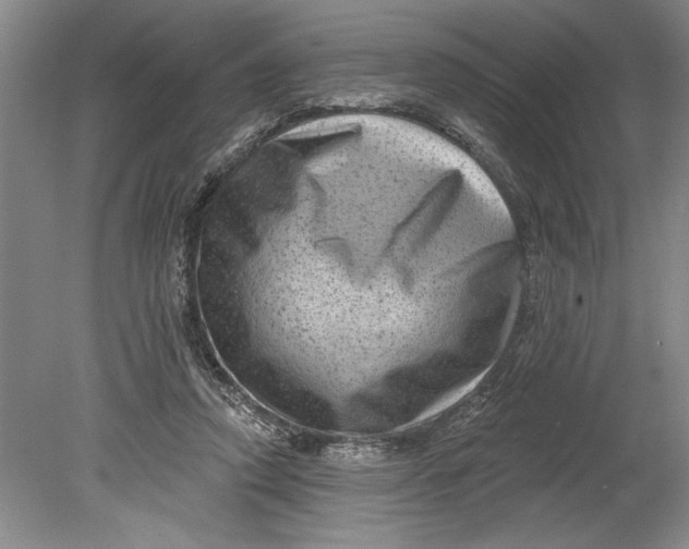 X0000080740354200701021152