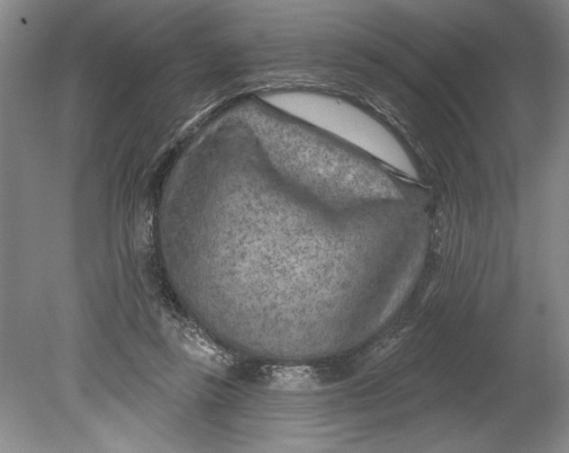 X0000080740355200701021152