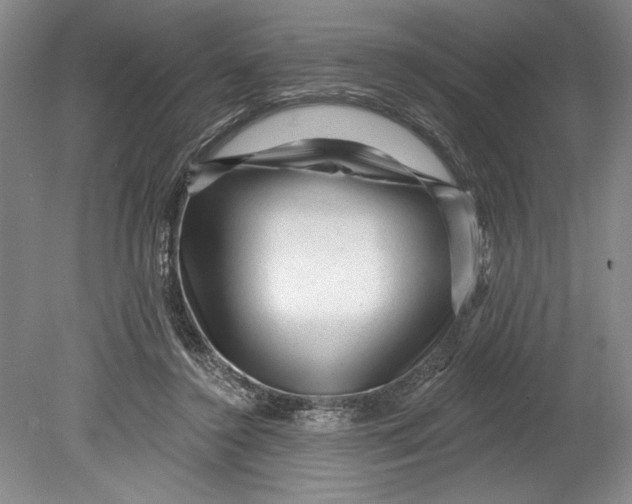 X0000080740356200701021152