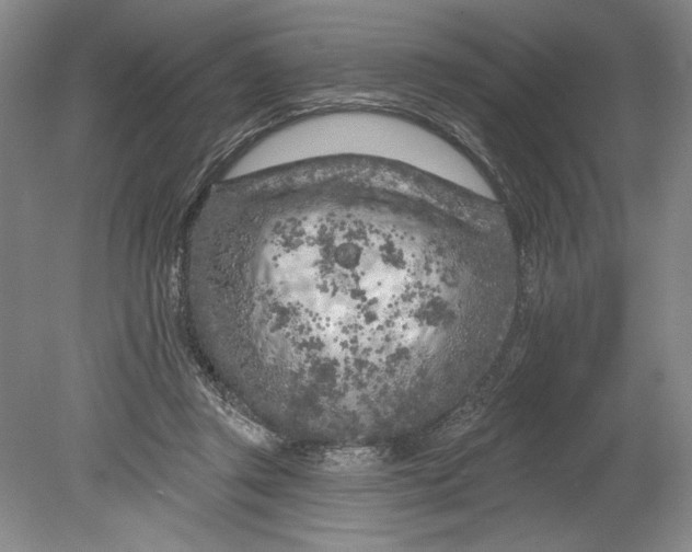 X0000080740357200701021152