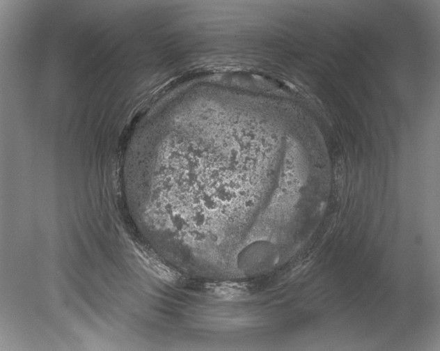 X0000080740359200701021153