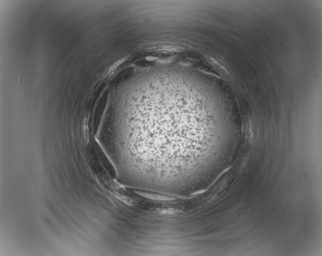 X0000080740360200701021153