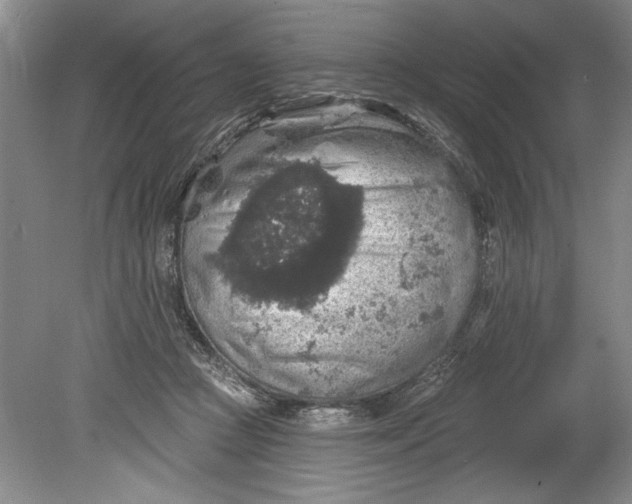 X0000080740361200701021153