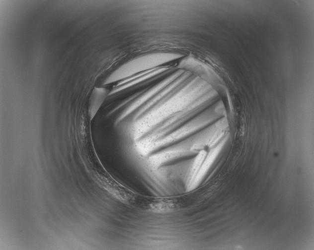 X0000080740362200701021153