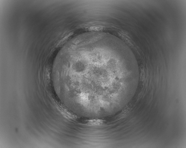 X0000080740363200701021153