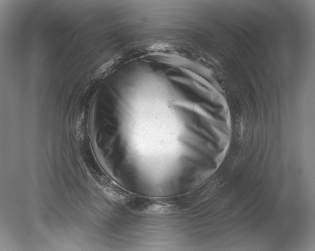 X0000080740364200701021153