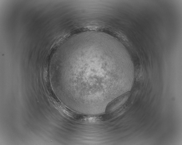 X0000080740365200701021153