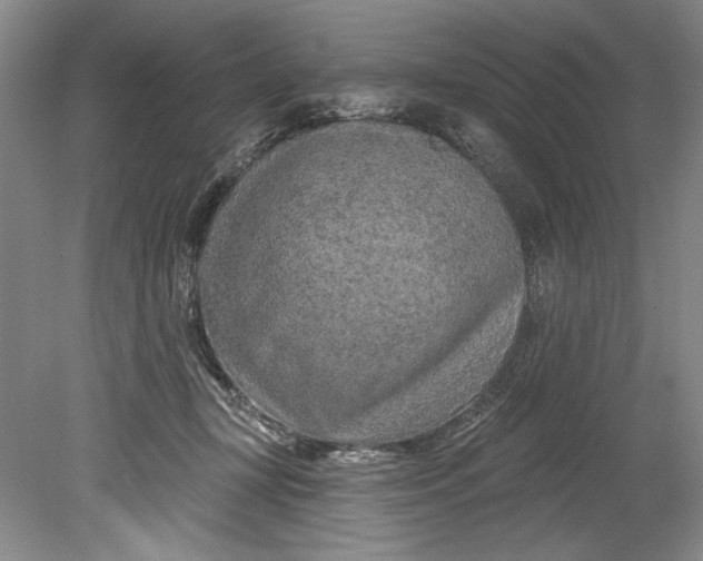 X0000080740367200701021153