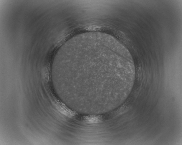 X0000080740370200701021153