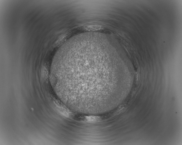 X0000080740371200701021153