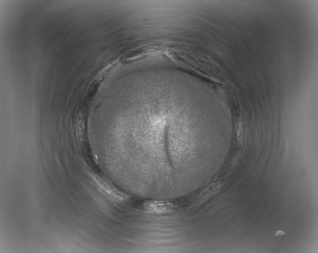 X0000080740372200701021153