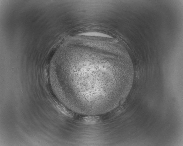 X0000080740373200701021153