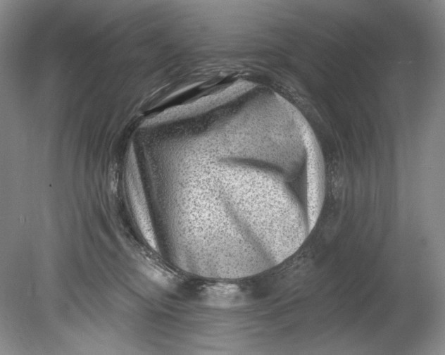 X0000080740374200701021153