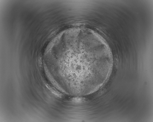 X0000080740375200701021153