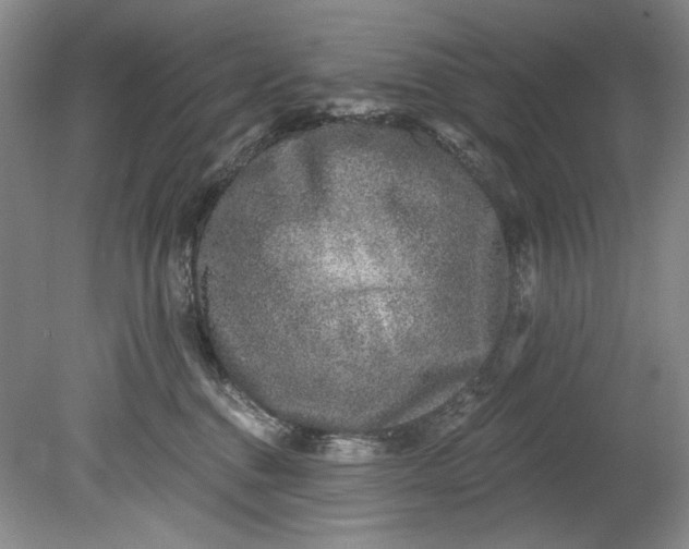 X0000080740376200701021153