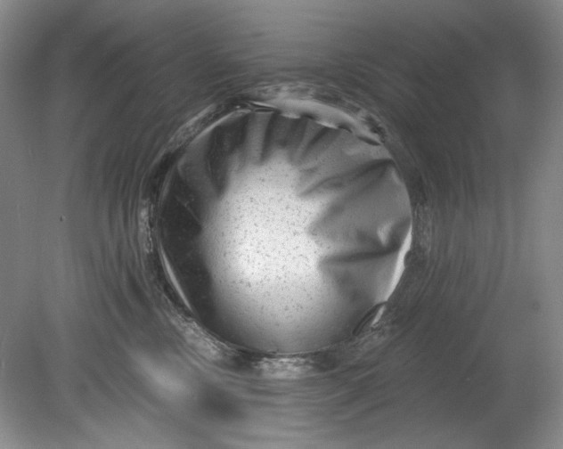 X0000080740378200701021153