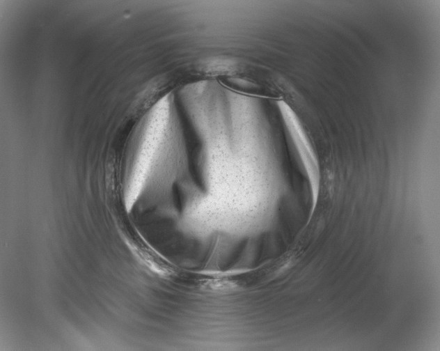 X0000080740379200701021153