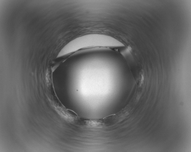 X0000080740380200701021153