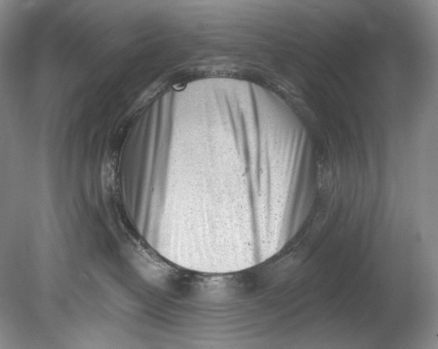 X0000080740382200701021153