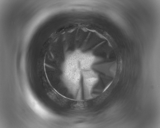 X0000080740383200701021153