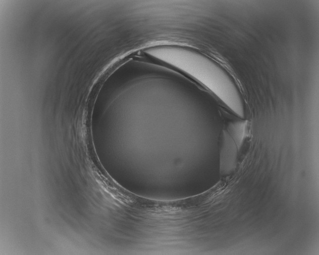 X0000080740387200701021152