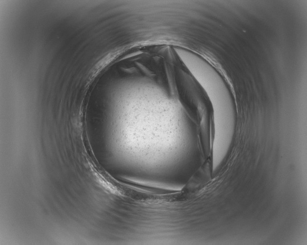 X0000080740389200701021152