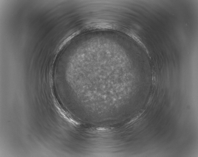 X0000080740390200701021152