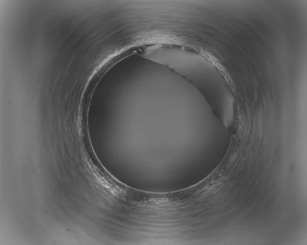 X0000080740391200701021152