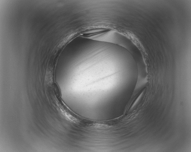 X0000080740393200701021152