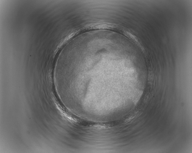 X0000080740394200701021152