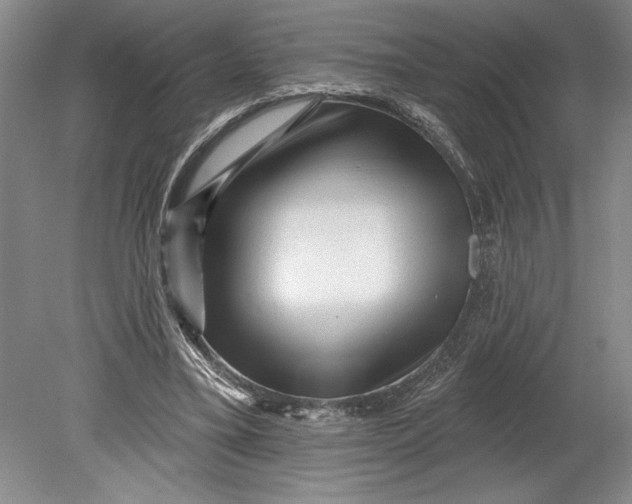 X0000080740395200701021152