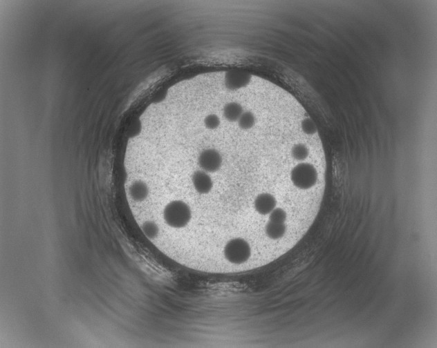 X0000080740396200701021152